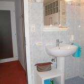 salle de bain avec douche, lavabo, toilette